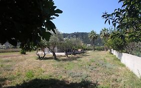 Olga Home Agios Ioannis Lefkada - Lefkada Bnb