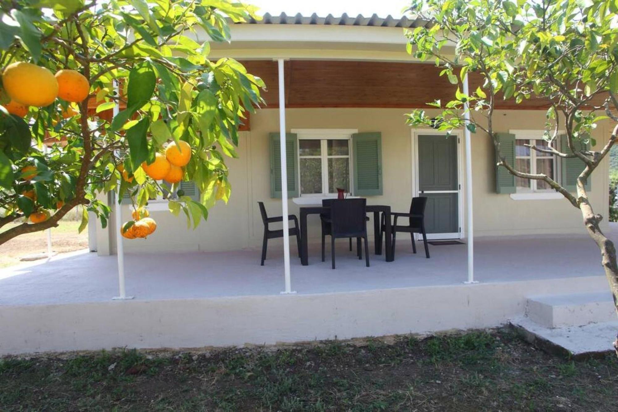 Olga Home Agios Ioannis Lefkada - Lefkada Bnb Εξωτερικό φωτογραφία