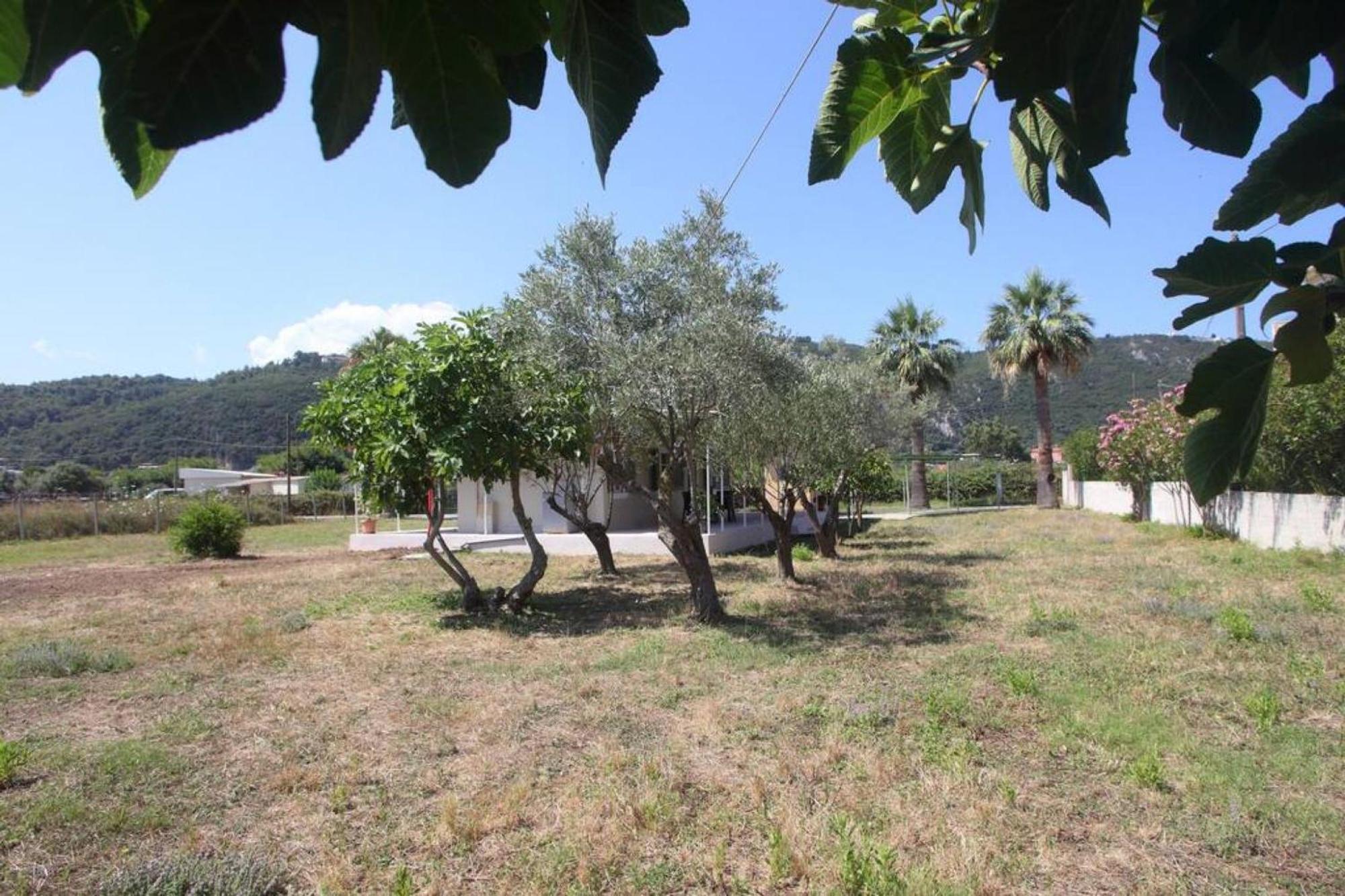 Olga Home Agios Ioannis Lefkada - Lefkada Bnb Εξωτερικό φωτογραφία